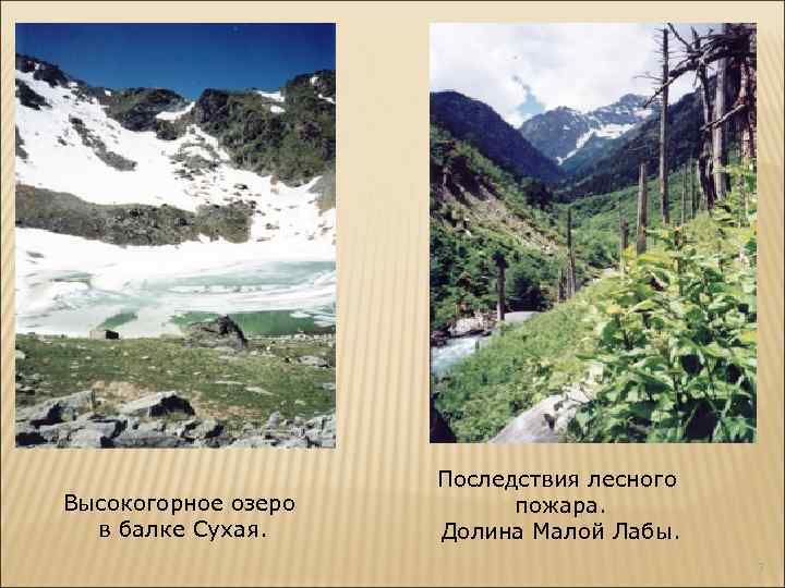 Высокогорное озеро в балке Сухая. Последствия лесного пожара. Долина Малой Лабы. 7 