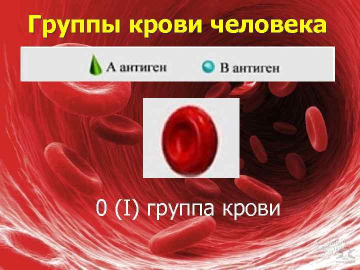 Группы крови человека 0 (I) группа крови 