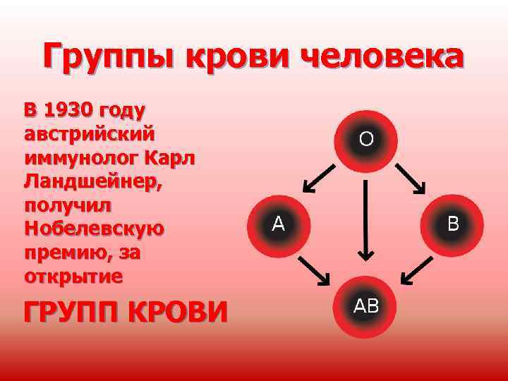 Группы крови человека В 1930 году австрийский иммунолог Карл Ландшейнер, получил Нобелевскую премию, за
