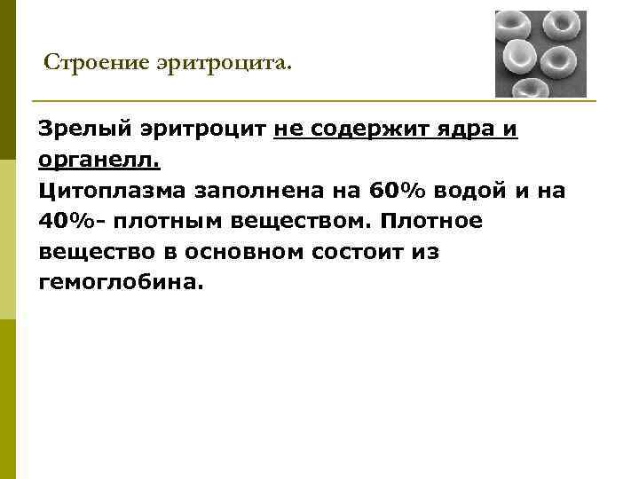 Строение эритроцита. Зрелый эритроцит не содержит ядра и органелл. Цитоплазма заполнена на 60% водой