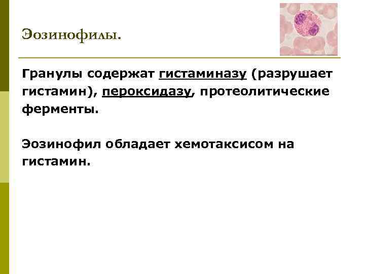 Эозинофилы. Гранулы содержат гистаминазу (разрушает гистамин), пероксидазу, протеолитические ферменты. Эозинофил обладает хемотаксисом на гистамин.