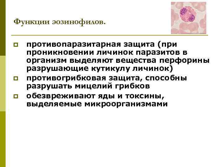 Функции эозинофилов. p p p противопаразитарная защита (при проникновении личинок паразитов в организм выделяют