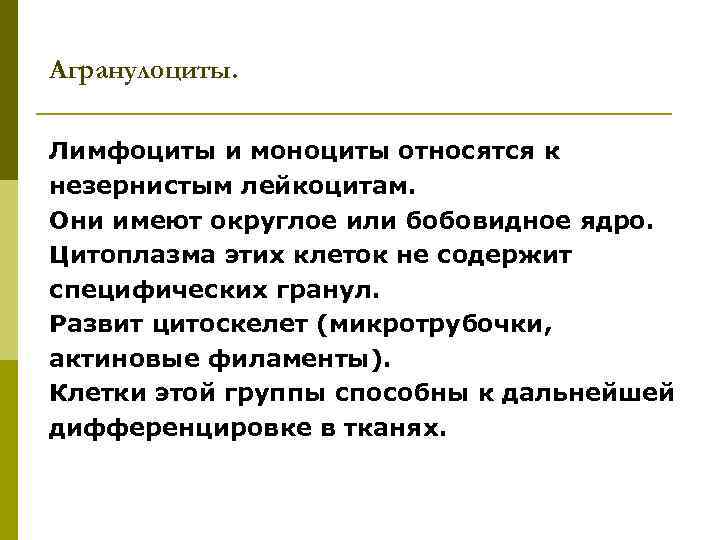 Агранулоциты. Лимфоциты и моноциты относятся к незернистым лейкоцитам. Они имеют округлое или бобовидное ядро.