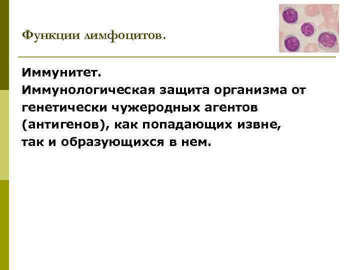 Функции лимфоцитов. Иммунитет. Иммунологическая защита организма от генетически чужеродных агентов (антигенов), как попадающих извне,