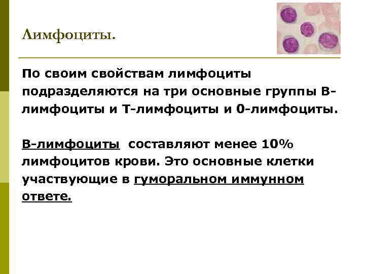 Лимфоциты. По своим свойствам лимфоциты подразделяются на три основные группы Влимфоциты и Т-лимфоциты и