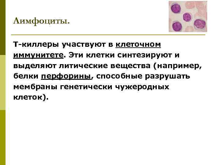 Лимфоциты. Т-киллеры участвуют в клеточном иммунитете. Эти клетки синтезируют и выделяют литические вещества (например,