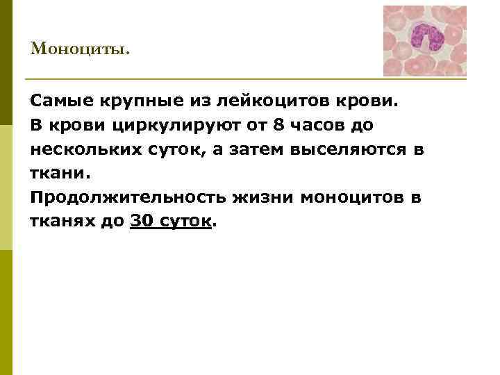 Моноциты. Самые крупные из лейкоцитов крови. В крови циркулируют от 8 часов до нескольких