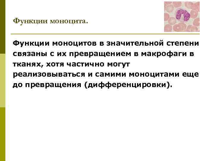Функции моноцита. Функции моноцитов в значительной степени связаны с их превращением в макрофаги в