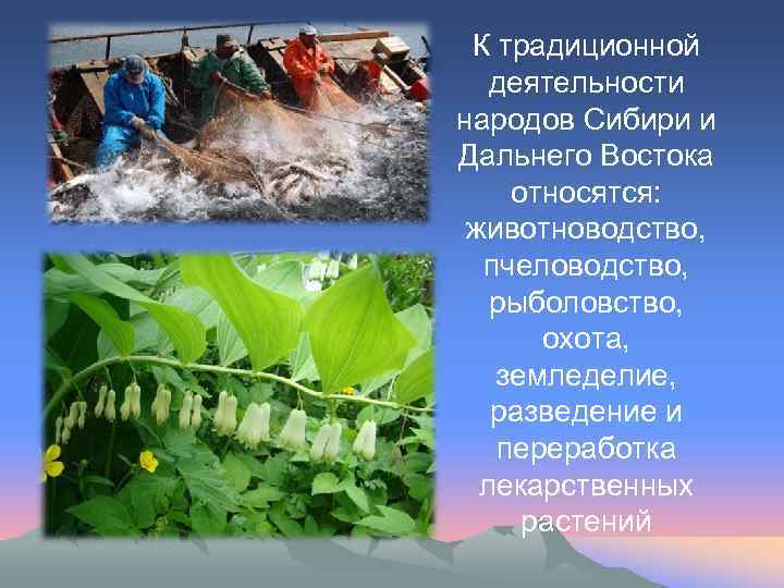 К традиционной деятельности народов Сибири и Дальнего Востока относятся: животноводство, пчеловодство, рыболовство, охота, земледелие,