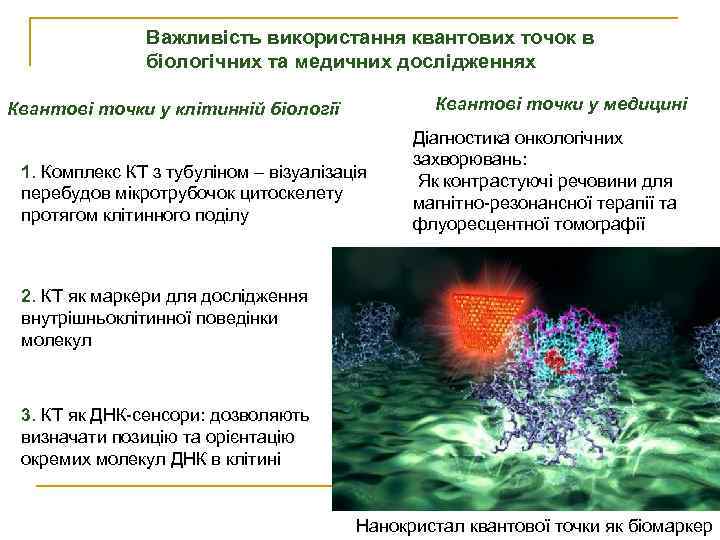 Важливість використання квантових точок в біологічних та медичних дослідженнях Квантові точки у медицині Квантові