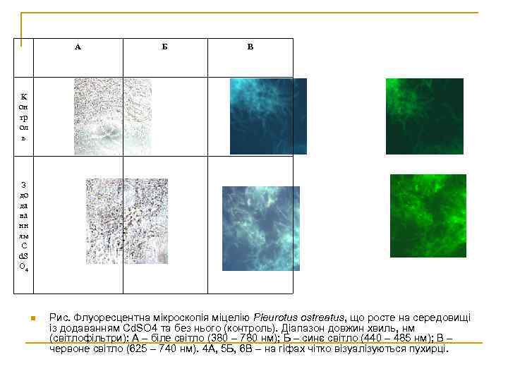 А Б В К он тр ол ь З до да ва нн ям