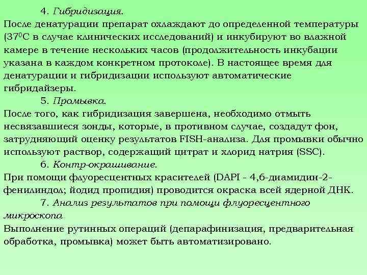 4. Гибридизация. После денатурации препарат охлаждают до определенной температуры (370 С в случае клинических