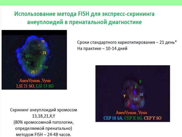 Анеуплоидия по аутосомам. Fish метод для изучения анеуплоидий. Анеуплоидия по аутосомам группы. Fish метод этапы. Анеуплоидия под микроскопом.