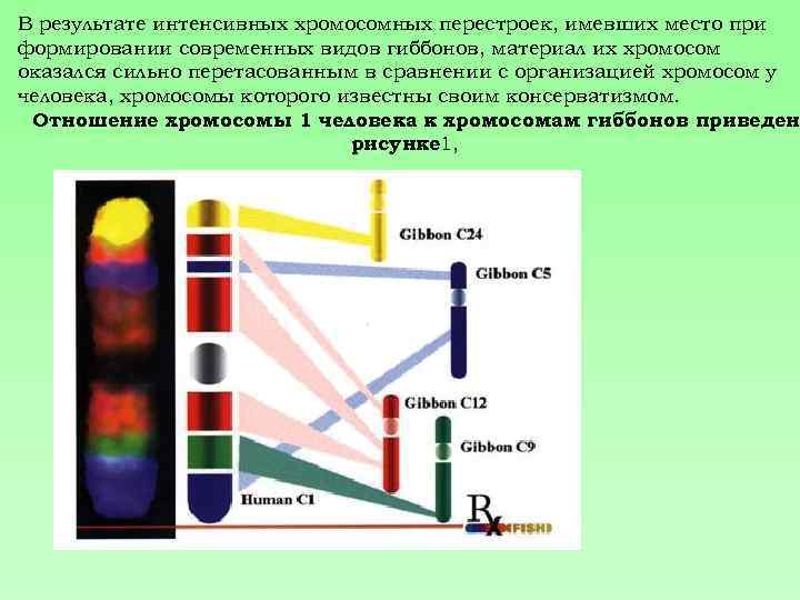 В результате интенсивного