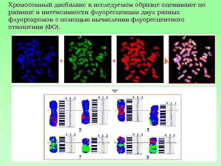 Хромосомный дисбаланс в исследуемом образце оценивают по разнице в интенсивности флуоресценции двух разных флуорохромов