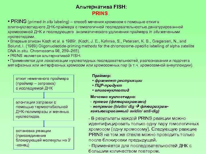 Альтернатива FISH: PRINS • PRINS (primed in situ labeling) – способ мечения хромосом с