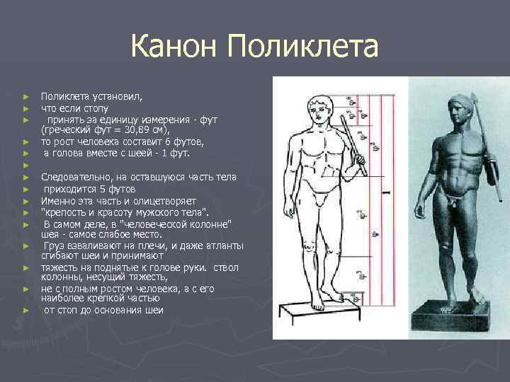 Канон Поликлета ► ► ► ► Поликлета установил, что если стопу принять за единицу