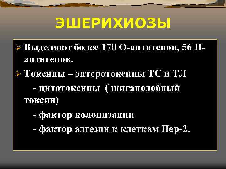 ЭШЕРИХИОЗЫ Ø Выделяют более 170 О-антигенов, 56 H- антигенов. Ø Токсины – энтеротоксины ТС