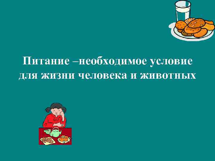 Питание –необходимое условие для жизни человека и животных 