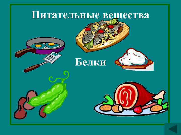 Питательные вещества Белки 