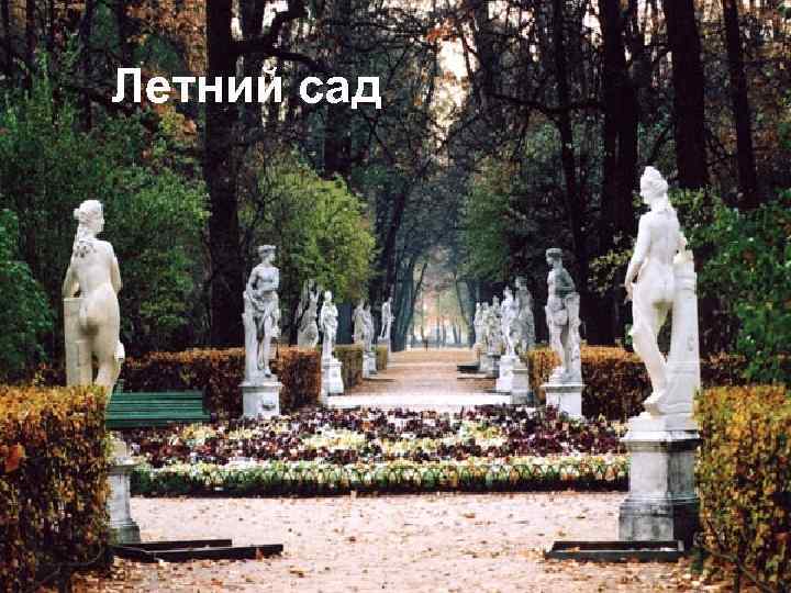 Летний сад 