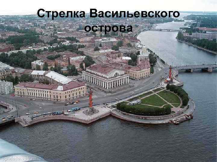 Стрелка Васильевского острова 