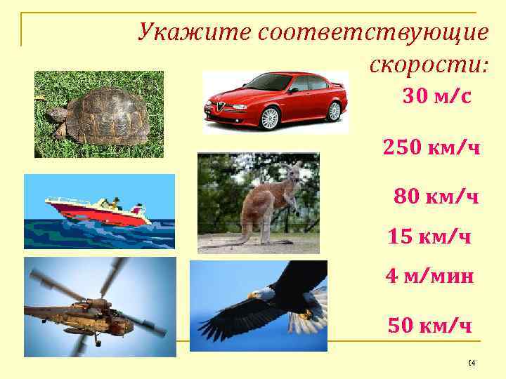 Укажите соответствующие скорости: 30 м/с 250 км/ч 80 км/ч 15 км/ч 4 м/мин 50