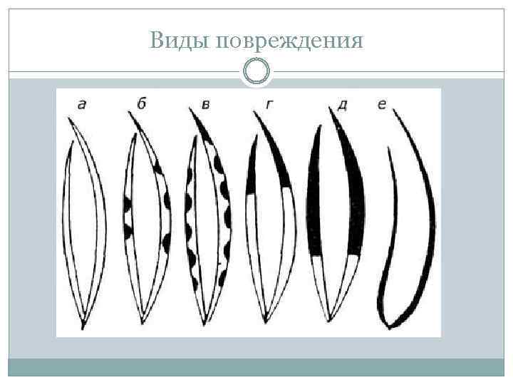 Виды повреждения 