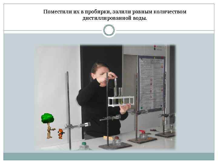 Поместили их в пробирки, залили равным количеством дистиллированной воды. 