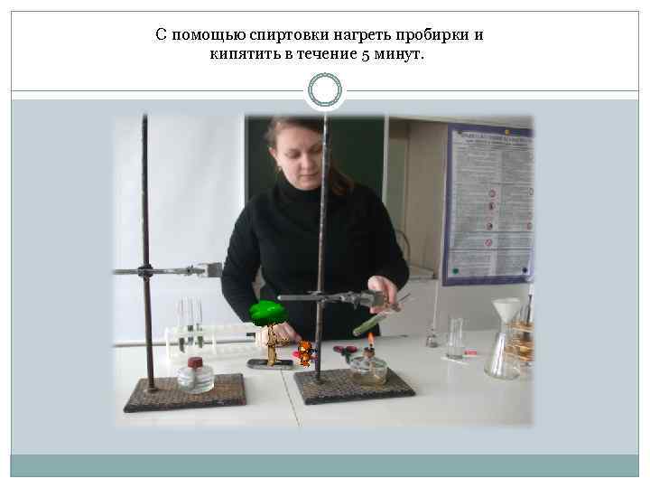 С помощью спиртовки нагреть пробирки и кипятить в течение 5 минут. 