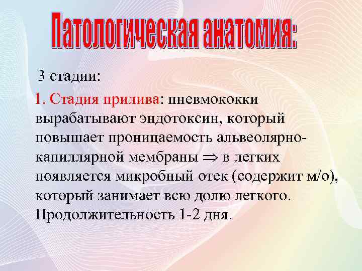 3 стадии: 1. Стадия прилива: пневмококки вырабатывают эндотоксин, который повышает проницаемость альвеолярнокапиллярной мембраны в
