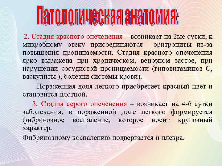 2. Стадия красного опеченения – возникает на 2 ые сутки, к микробному отеку присоединяются