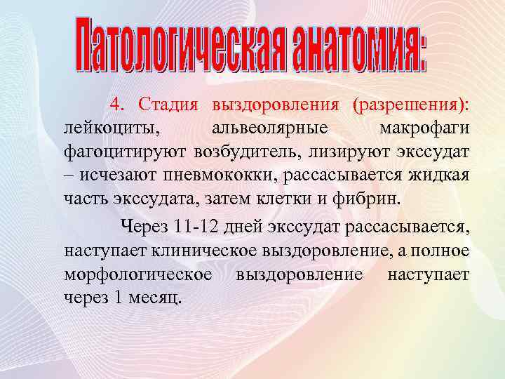 4. Стадия выздоровления (разрешения): лейкоциты, альвеолярные макрофаги фагоцитируют возбудитель, лизируют экссудат – исчезают пневмококки,