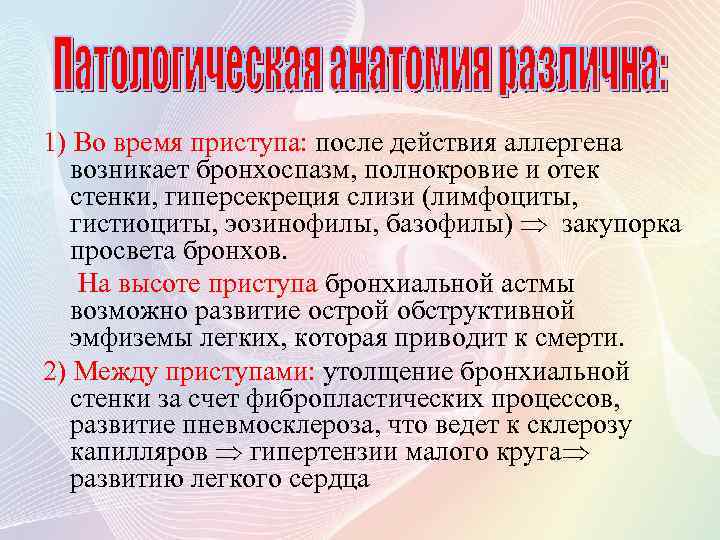 1) Во время приступа: после действия аллергена возникает бронхоспазм, полнокровие и отек стенки, гиперсекреция