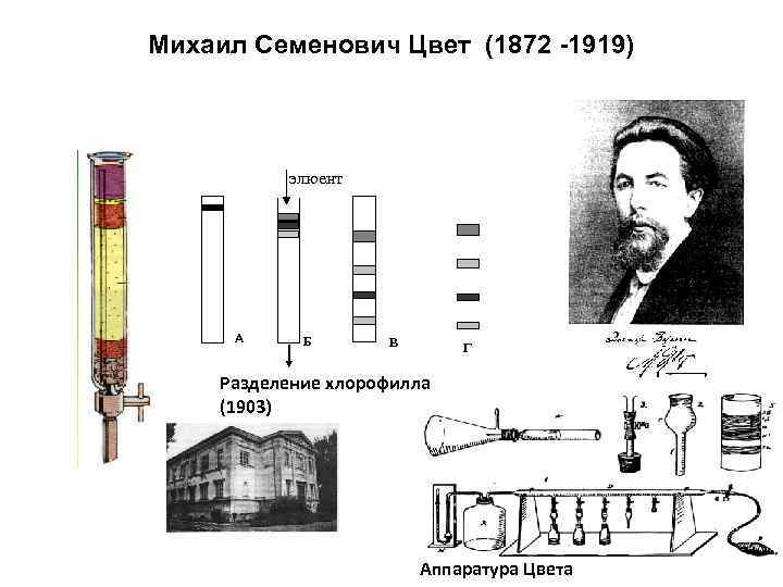 Михаил Семенович Цвет (1872 -1919) элюент A Б В Г Разделение хлорофилла (1903) Аппаратура