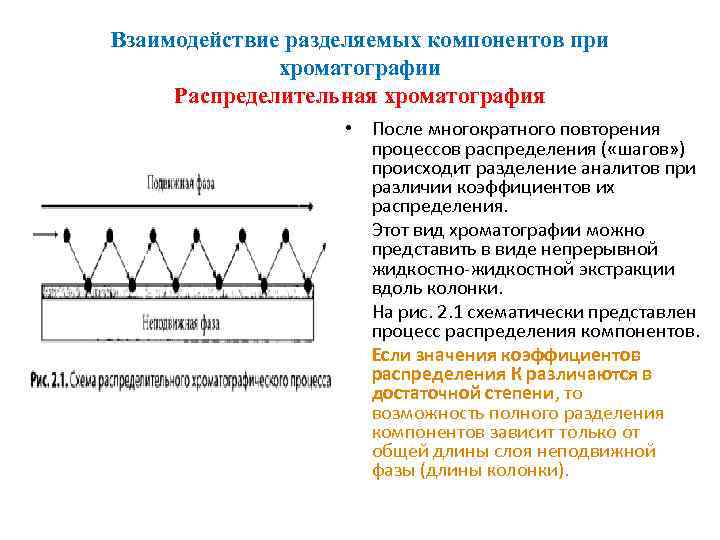 Взаимодействие разделяемых компонентов при хроматографии Распределительная хроматография • После многократного повторения процессов распределения (