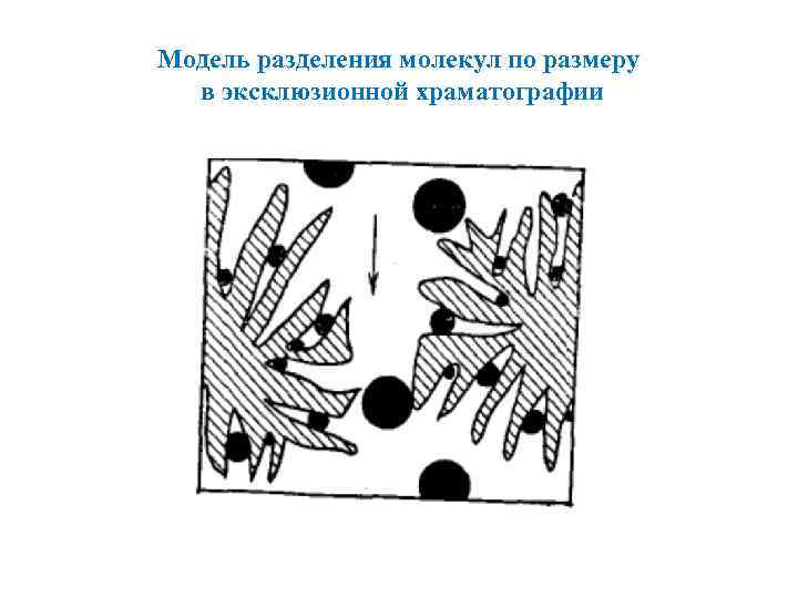 Модель разделения молекул по размеру в эксклюзионной храматографии 