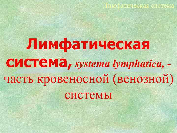 Лимфатическая система, systema lymphatica, часть кровеносной (венозной) системы 