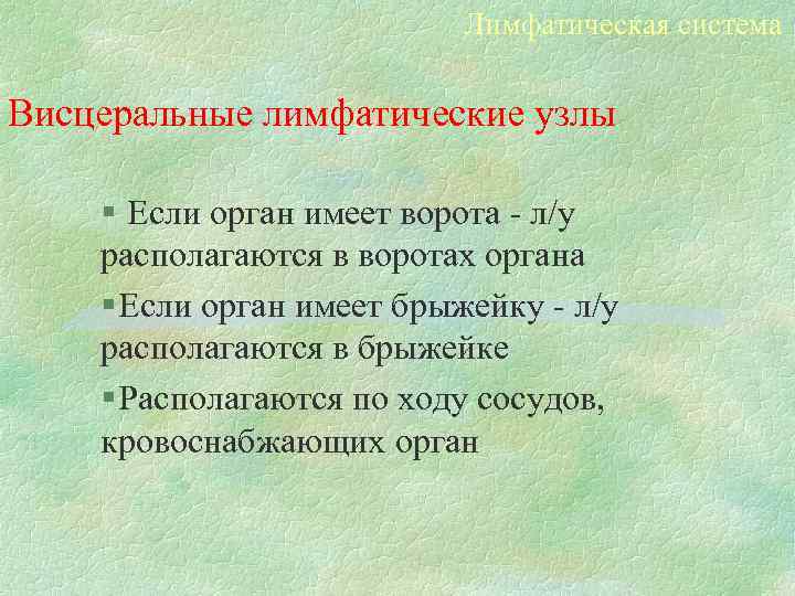 Лимфатическая система Висцеральные лимфатические узлы § Если орган имеет ворота - л/у располагаются в