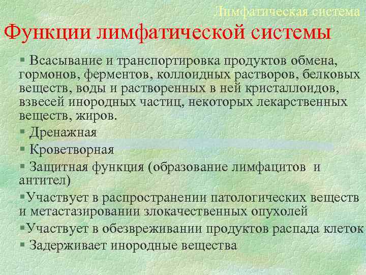 Лимфатическая система Функции лимфатической системы § Всасывание и транспортировка продуктов обмена, гормонов, ферментов, коллоидных