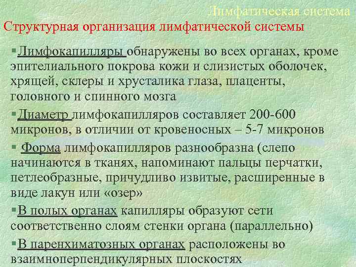 Лимфатическая система Структурная организация лимфатической системы § Лимфокапилляры обнаружены во всех органах, кроме эпителиального