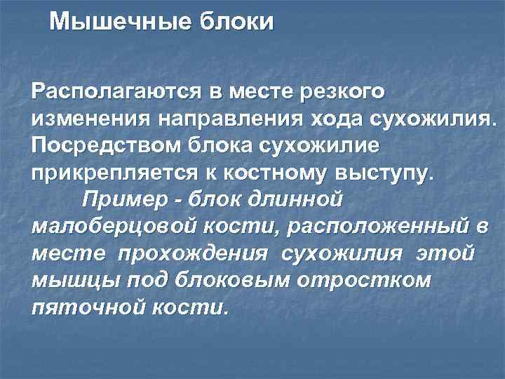 Мышечные блоки Располагаются в месте резкого изменения направления хода сухожилия. Посредством блока сухожилие прикрепляется
