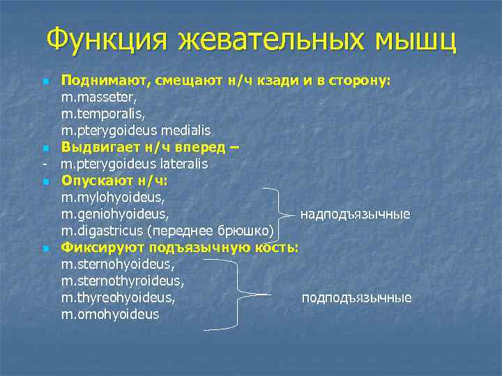 Функция жевательных мышц Поднимают, смещают н/ч кзади и в сторону: m. masseter, m. temporalis,