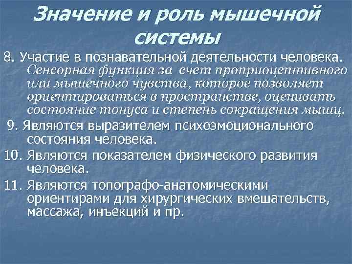 Значение и роль мышечной системы 8. Участие в познавательной деятельности человека. Сенсорная функция за