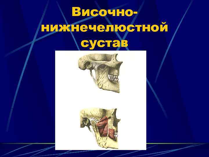 Височнонижнечелюстной сустав 