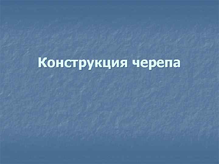 Конструкция черепа 