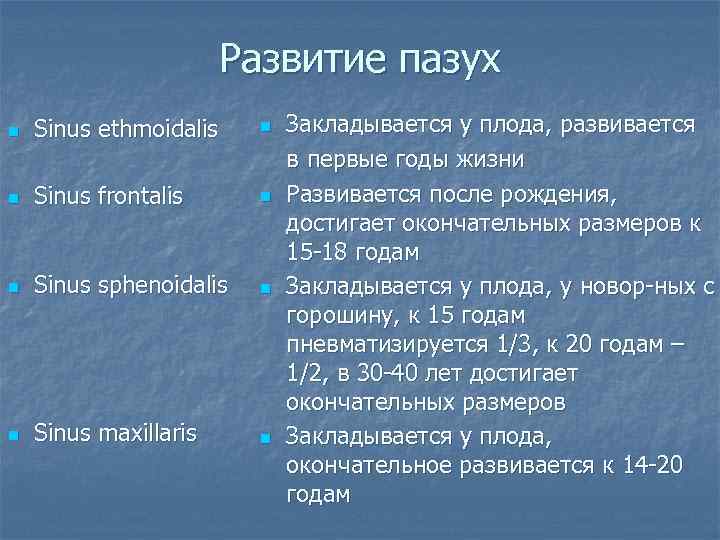 Развитие пазух n Sinus ethmoidalis n n Sinus frontalis n n Sinus sphenoidalis n