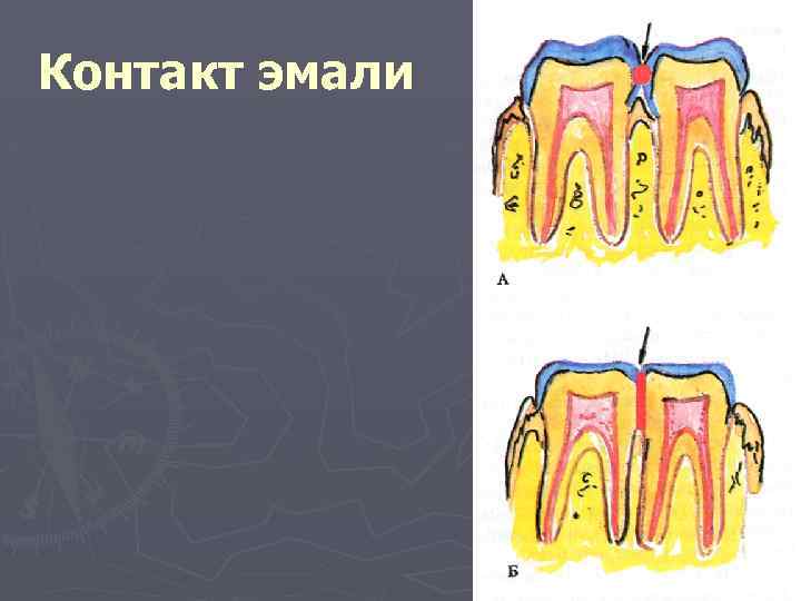 Контакт эмали 