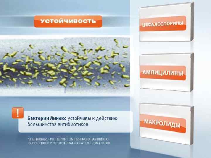 16 | Chart Library | August 2009 