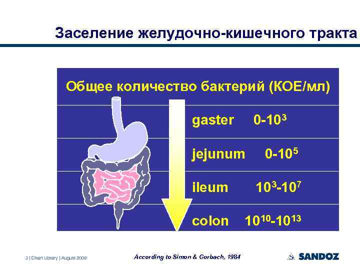 Заселение желудочно-кишечного тракта Общее количество бактерий (КОЕ/мл) gaster 0 -103 jejunum 0 -105 ileum